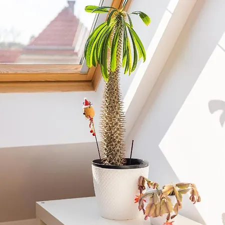 公寓 Victus Apartamenty, Apartament Seaside Loft
